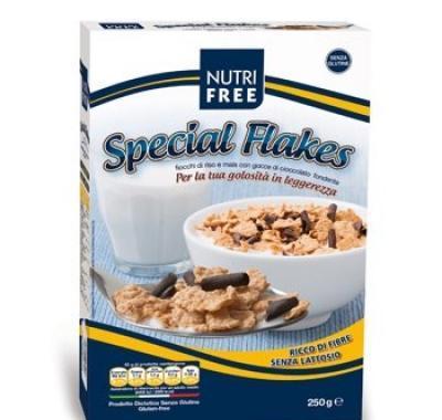 Cornflakes ryžové   čokol.hoblinky 250g